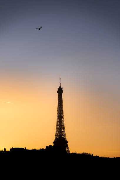 istock Eiffel Tower in Paris at sunset with a bird flying in the sky 2050179827