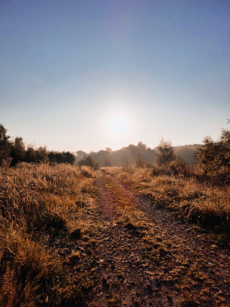 Beautiful sunrise and country road