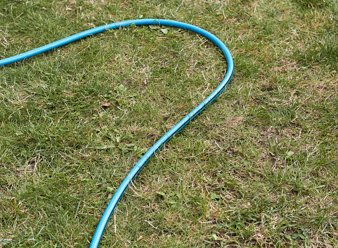 Blue hose lies on grass