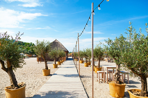 Summer beach in the city of Constanta in Romania with wooden decking on the sand and olive trees in pots.