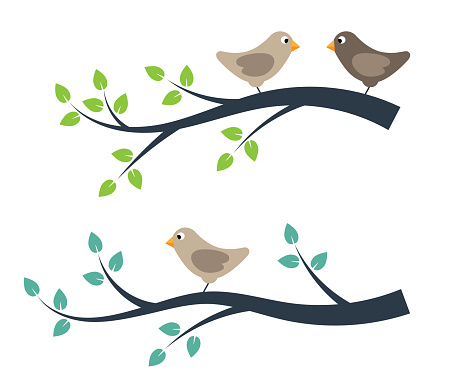 Birds nature and animals concept vector