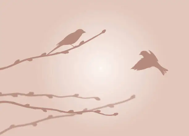 Vector illustration of Tree Twigs and Sparrows Silhouettes in Sunlight