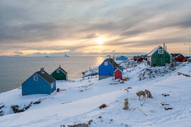 View over Ittoqqortoormiit with huskies in the foreground
