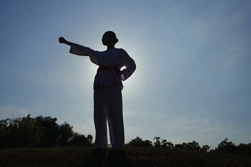 Silhouette of sportswoman stretching out arm when practicing taekwondo stance