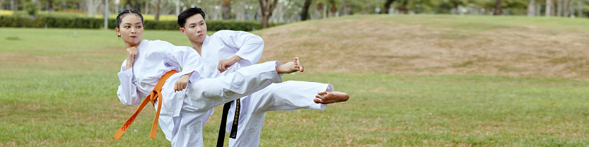Header with taekwondo athletes doing side kick