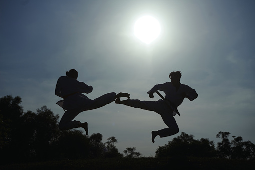 Silhouettes of taekwondo athletes doing jump kick