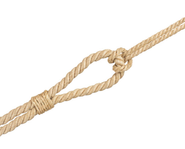 rope with knot, isolated on white - fotos de ahorcamiento fotografías e imágenes de stock