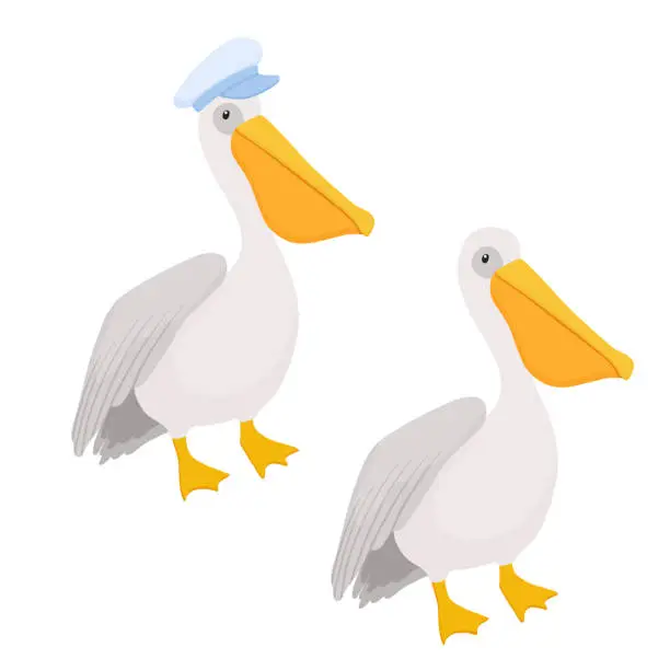 Vector illustration of Cute vector pelican with captain hat character isolated on white background. Hand drawn nautical childish illustration
