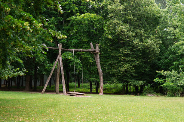 Empty wooden swing hanging from a large tree. Park in summer, green landscape.