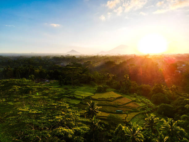 istock Sunrise at the rice terraces in Bali 2050318651