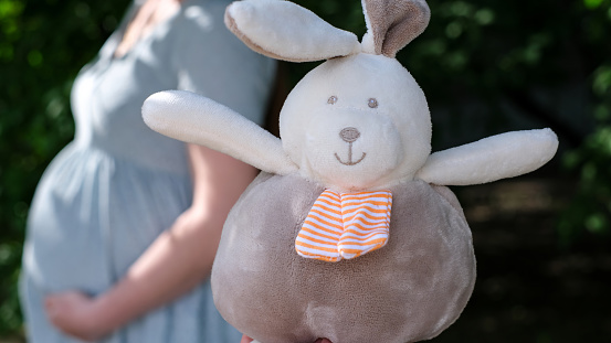 Close-up of a pregnant girl in a soft blue dress with a toy bunny.