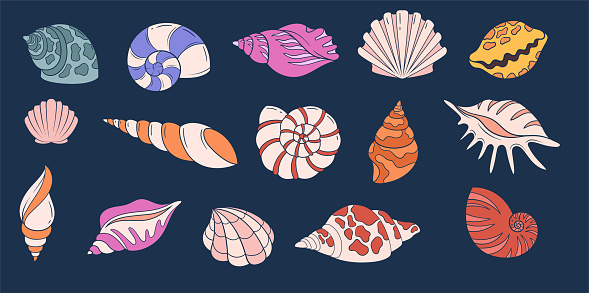 Set of seashells. Nautical fauna and flora. Colorful ocean and sea shells. Biology, wildlife and fauna. Tropical and exotic mollusk. Cartoon flat vector collection isolated on blue background