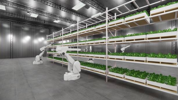 istock Robot Arm  warehouse plants vegetables indoors for efficient cultivation. 2050353449