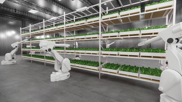 istock Robot Arm  warehouse plants vegetables indoors for efficient cultivation. 2050353450