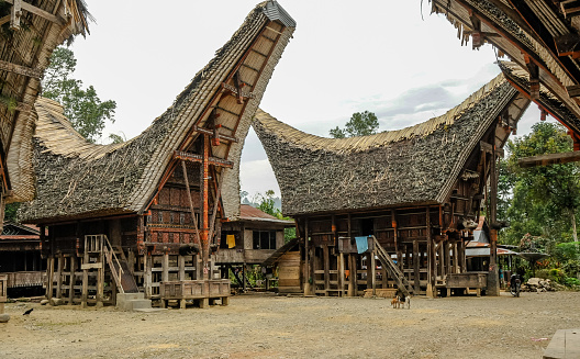 Tana Toraja, Sulawesi, Indonesia - Oct 21, 2009:  view of  traditional Toraja houses, many of which are still inhabited,  located in one of the many villages in the valleys around Rantepao