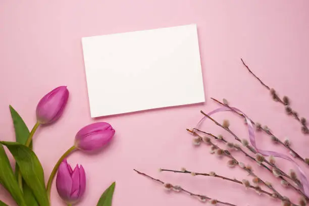 Mother's Day or International Womens-day concept. Top view of white paper blank, fresh tulips and pussy willow branches on pink background. Flat lay. Mock up. Space for text.