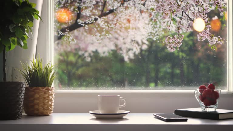 Beautiful spring cherry blossom scenery outside the window, rain falling and flowing raindrops on the cafe window sill, books, coffee and the comfortable sound of rain ASMR