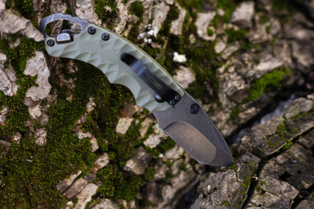 istock Tactical knife stuck in a tree stump in a forest 2050425079