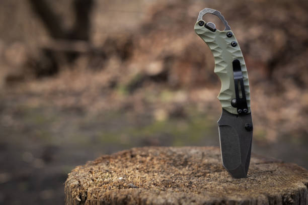 istock Tactical knife stuck in a tree stump in a forest 2050425623