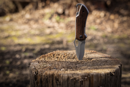 Tactical knife stuck in a tree stump in a forest.