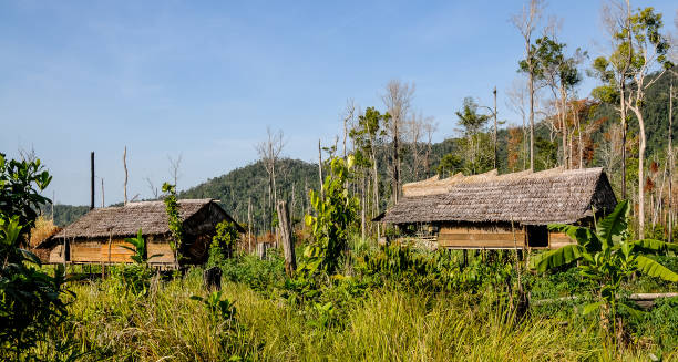 istock Stilt house in Morowali forest 2050446931