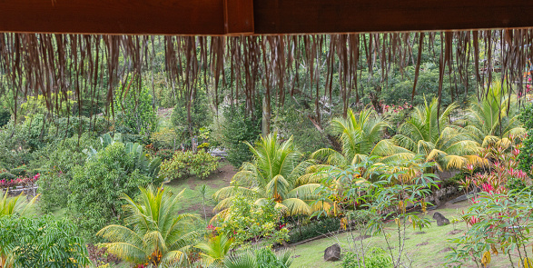 Gardens of the Savane aux esclaves at 3 îlets, Martinique. Exotic gardens of the French West Indies.