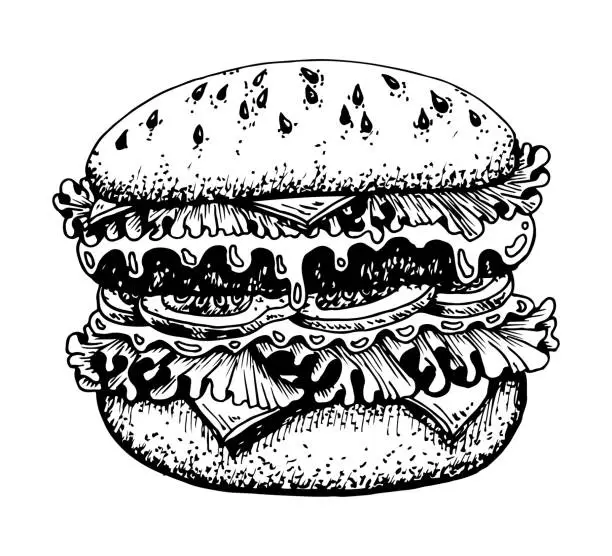 Vector illustration of Burger sketch. Fast food. Snack sandwich, bun, meat cutlet, tomato, cheese, green salad. hand drawn vector illustration.