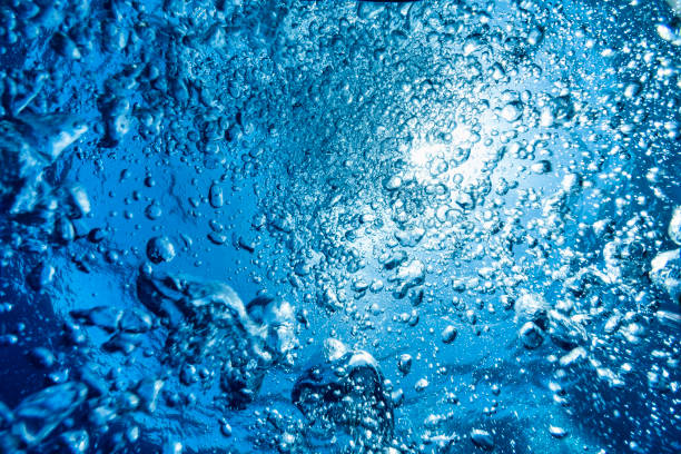 Tranquil underwater scene with copy space