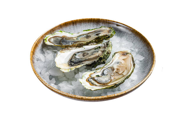 istock Opened Fresh oysters with lemon and ice in a plate.  Isolated on white background. Top view. 2050507066