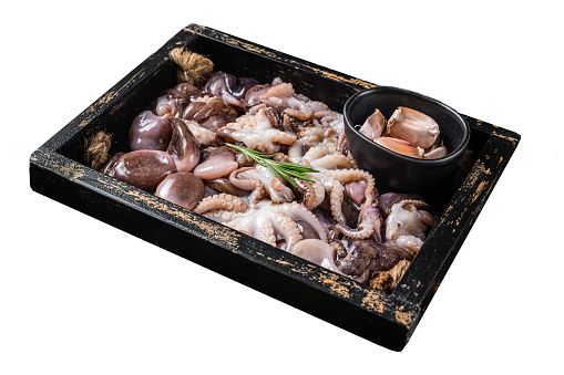 Fresh seafood raw mini baby octopus in a  wooden tray with herbs.  Isolated on white background. Top view