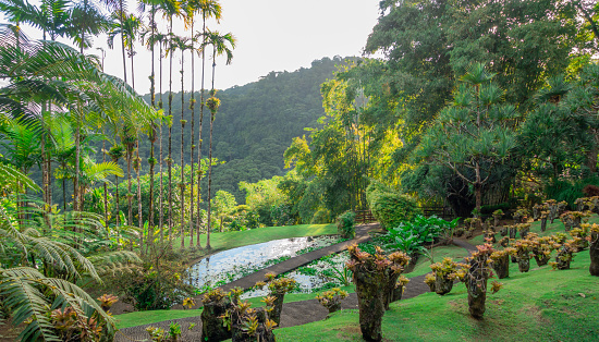 Jardins de la Balata in Fort-De-France, Martinique. Exotic gardens of the French West Indies.
