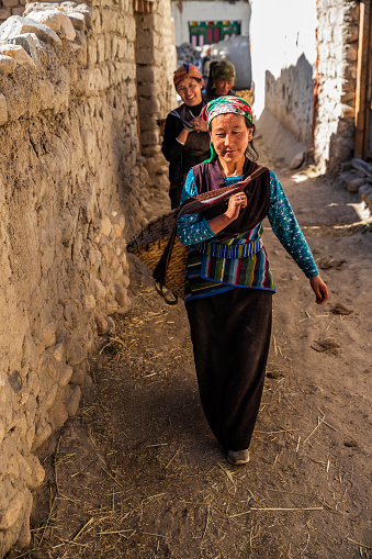 Tibetan women carrying baskets full of yak's dung, Lo Manthang, Upper Mustang. Mustang region is the former Kingdom of Lo and now part of Nepal,  in the north-central part of that country, bordering the People's Republic of China on the Tibetan plateau between the Nepalese provinces of Dolpo and Manang.