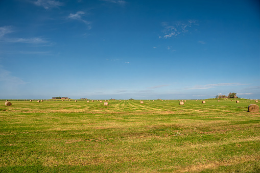 Rolled up bales of hay in paddocks San Remo Victoria