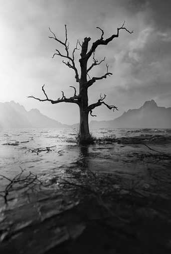 Cracked land and dead tree, 3D illustration