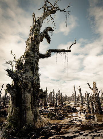 Cracked land and  dead tree, 3D illustration