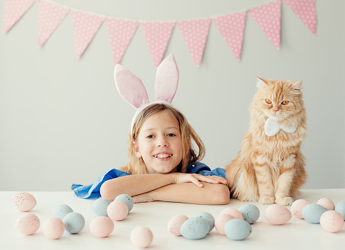 Portrait of a cute little girl with bunny ears playing with a cat for Easter