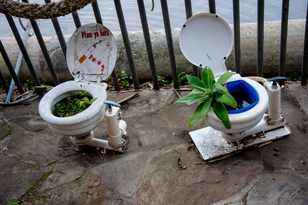 Gladesville, Sydney, New South Wales, Australia