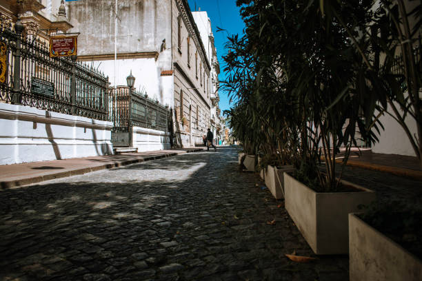 San Telmo is a historic neighborhood located in Buenos Aires, Argentina. It's renowned for its cobblestone streets, colonial architecture, and vibrant cultural scene. Originally settled by wealthy families in the 17th century, it later became a hub for European immigrants, particularly from Italy and Spain.