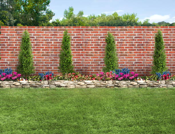 istock An empty backyard with grass, small trees and a brick fence 2050612689