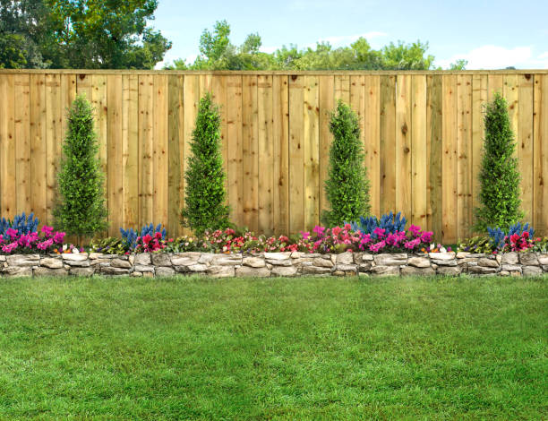 istock An empty backyard with grass, small trees and a wood fence 2050612698