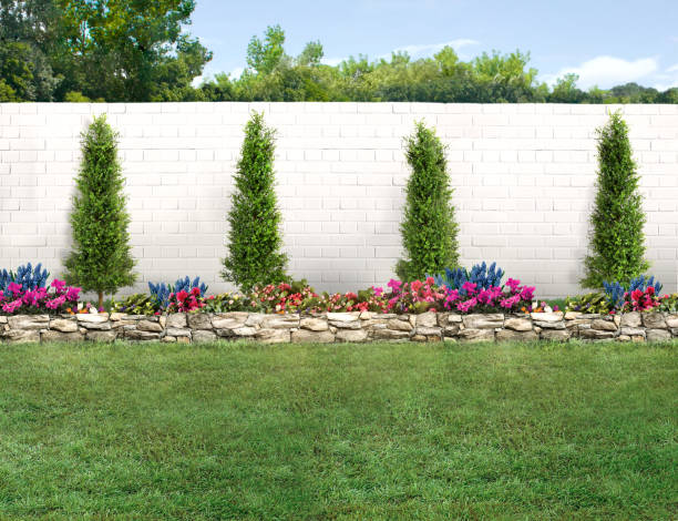 istock An empty backyard with grass, small trees and a brick fence 2050612706