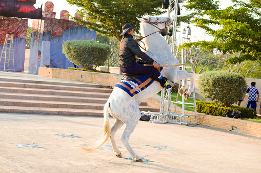 White horse with thai rider on back legs lifting up body and head. Man is wearing a cowboy hat. Scene is on square close and below King Naresuan Monument in Lampang. Rider is holding a wooden sword. In background are steps and trees and bushes. Some artificial historic looking wall decor is placed behind steps. Between trees a man is working. A ladder is close to wall. Monument was made for  history  of marching King Naresuan the Great Through Lampang. Monument was made in 1992 To honor Her Majesty His Majesty the Queen's fifth anniversary in 1992 for independence of the nation and place of worship for the general public and source of historical study