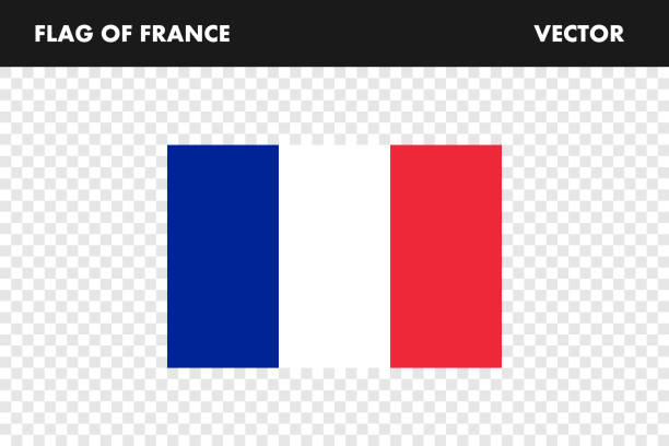 ilustrações, clipart, desenhos animados e ícones de bandeira da frança. bandeira da frança, ilustração. imagem da bandeira. vetor - bandeira-francesa