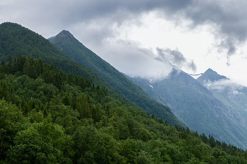 Lush green forests blanket the foothills of mist-shrouded mountains, embodying the wild and moody spirit of Norway's rugged terrain