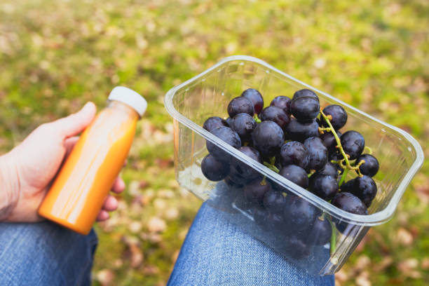 Simple picnic, snacks during the break with fresh vegetarian food