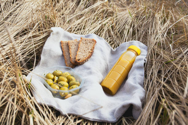 Simple picnic, snacks during the break with fresh vegetarian food