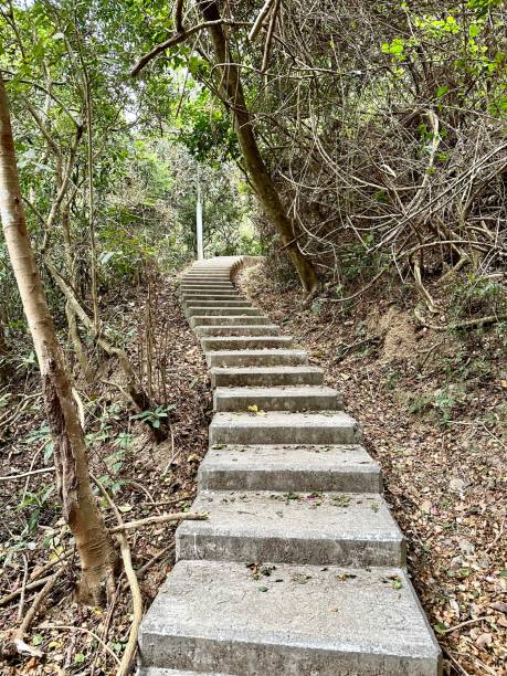 istock hiking trail in the mountains 2050658438