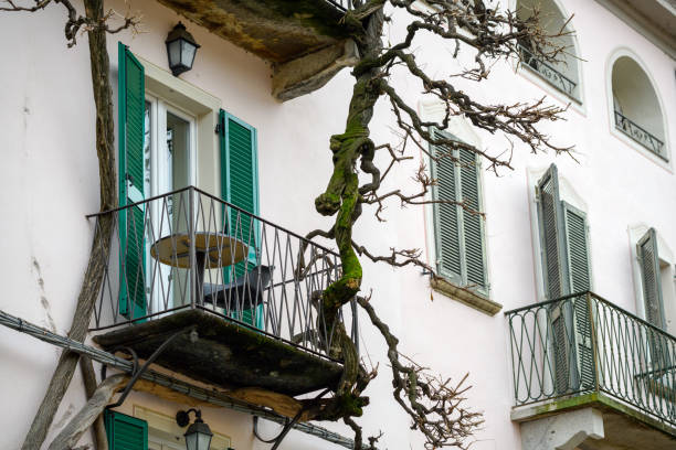 Scene in Orta San Giulio, Italy