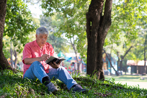 Happy Asian old senior man with gray hair reading book outside in park. Concept of happy elderly man after retirement and good health
