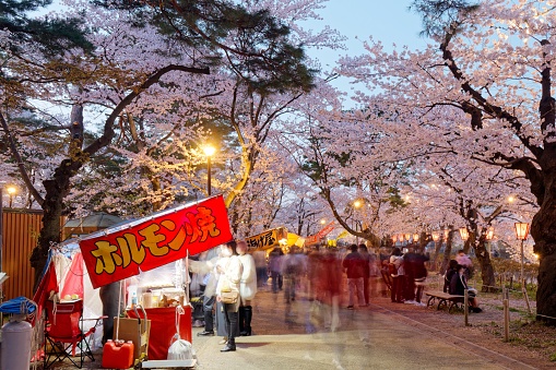 Tourists stroll in a temporary market and stop by traditional Japanese snack stalls (Yatai) under cherry blossom trees that are lighted up at dusk in the Sakura Matsuri Festival,  in Joetsu City, Niigata, Japan